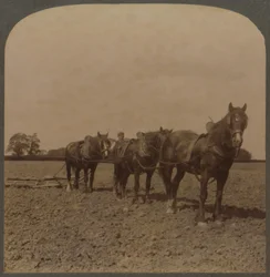 Agricultura en Inglaterra - Rastra de la Tierra, 1909