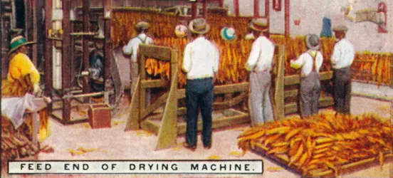 Extremo de alimentación de la máquina de secado, 1926