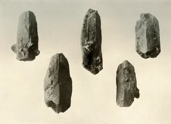Cristales de feldespato del Summit del Monte Erebus Tamaño Natural, 1909