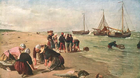 Pescado del Banco Dogger, Scheveningen, Holanda, 1870, c1902