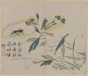 Lirio floreciente, siglo XVIII