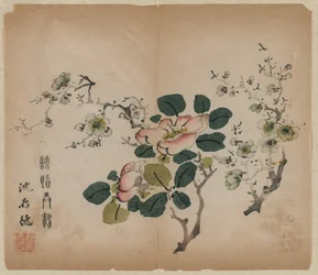 Prunus en flor, 1368-1644