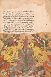 Folio de un Kalila wa Dimna, siglo XVIII