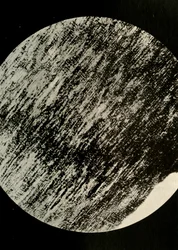 Madera fósil en arenisca, de una morrena en latitud 85° Sur, c1908, 1909