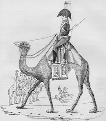 Regimiento de dromedarios franceses. Capturado con un convoy en el desierto de Libia, mayo de 1801