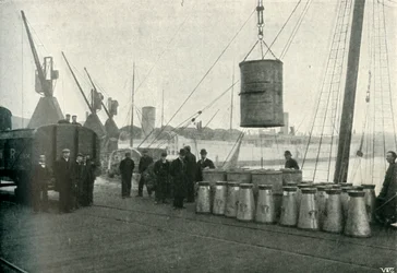 Leche francesa desembarcada en Southampton, 1902