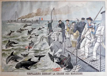 Barcos torpederos franceses cazando marsopas, 1903