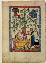 Del Códice Manesse, entre 1305 y 1340