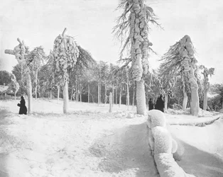 Trabajo de escarcha en Prospect Park, Niagara, EE.UU., c1900