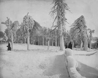Trabajo de escarcha en Prospect Park, Niagara, c. 1897