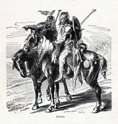 Galos, 1882