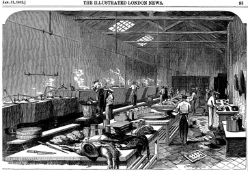 Vista general de la cocina en Richie & McCalls Cannery, Houndsditch, Londres, 1852