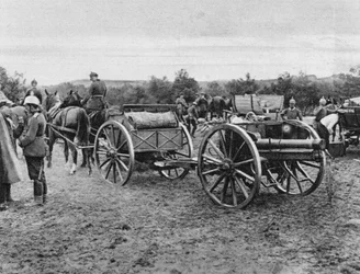 Artillería alemana, Primera Guerra Mundial, 1915