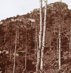 Líneas alemanas, c. 1914-c. 1918