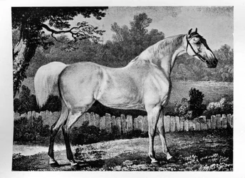 Gimcrack, 1760-1777