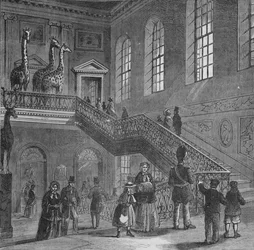 Gran escalera de Montagu House, Bloomsbury, Londres, c1830 1878