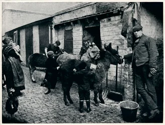 Aseando burros costeros, Londres, c1903