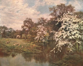 Flores de Espino, c1899, c1902