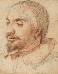 Cabeza de un hombre, c. 1600