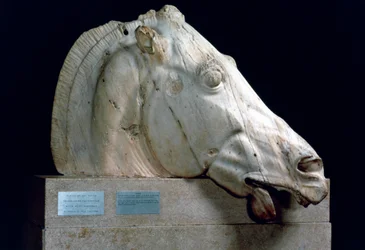 Cabeza de un caballo del carro de Selene del frontón este del Partenón, 447-432 a.C.