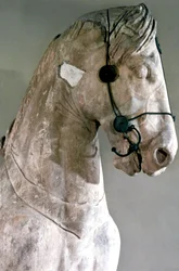 Caballo, Cuadriga del Mausoleo en Halicarnaso, 350 a.C.