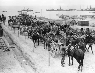 Transporte tirado por caballos, operaciones aliadas en los Dardanelos, Turquía, 1915-1916