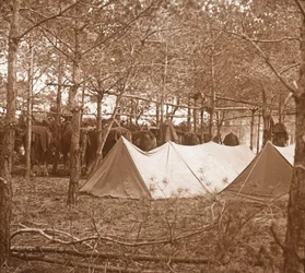 Alojamiento de caballos, Suippes, norte de Francia, c1914-c1918