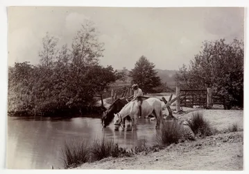 Caballos bebiendo en un estanque, c 1890