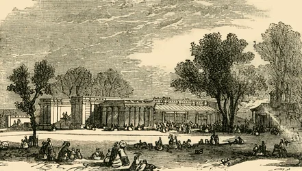 Casas de los Carnívoros, c1876