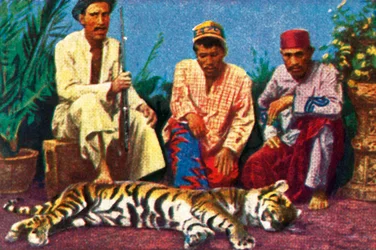 Cazadores con tigre muerto en Sumatra, c. 1928