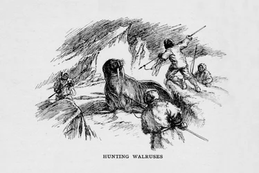 Caza de morsas, c1927, 1928