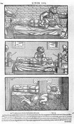 Ilustración del Liber canonis de medicinis cordialibus de Avicena, 1556