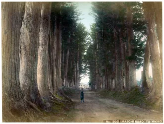 Camino Imaichi en Nikko, Japón, principios del siglo XX
