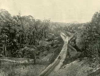 En las Montañas Blackall, 1901