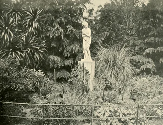 En los Jardines Fitzroy, Melbourne, 1901