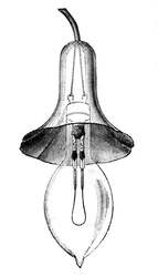 Lámpara de filamento incandescente, lámpara de brillo, por Lane-Fox, 1883