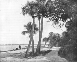 Río Indian, Florida, EE.UU., c. 1900