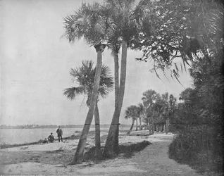 Río Indio, Florida, c. 1897