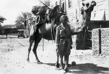 Soldado de camellos indio, Bagdad, 1918
