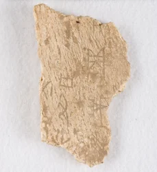 Fragmento de hueso inscrito, hueso oracular, dinastía Shang tardía