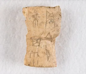 Fragmento de hueso inscrito oráculo, dinastía Shang tardía, ca. 1300-1050 a.C.
