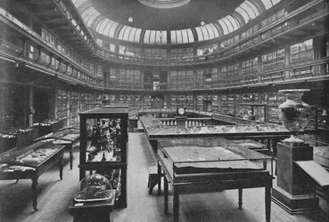 Interior del Museo Geológico, Jermyn Street
