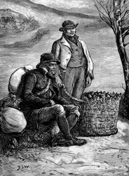 Agricultores irlandeses llevando a casa sus papas de siembra