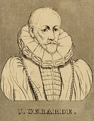 J. Gerarde, c1545-1612, 1830