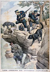 Soldados japoneses con perros localizan a un ruso escondido, Guerra Ruso-Japonesa, 1904