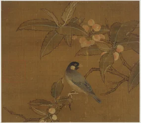 Gorrión de Java en una rama de bayas, dinastía Ming, siglo XV