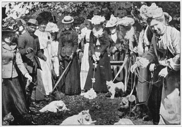 Juzgando gatos en el espectáculo de los Jardines Botánicos Reales, Kew, Londres, c1900 1901