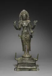 Kali