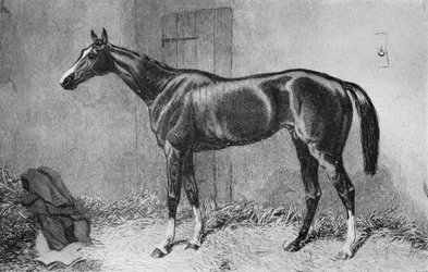 Timbal, c1860s, 1911