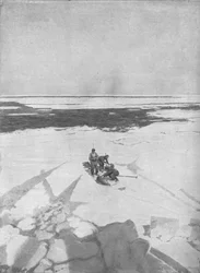 Caza de focas, 1911, 1928